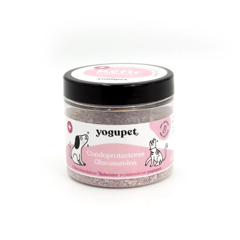 Kéfir liofilizado condroprotectores y glucosamina