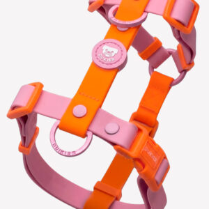 Arnés Waterproof Tangerine Pink para perro Dukier