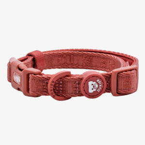 Collar Terracota para perro Dukier