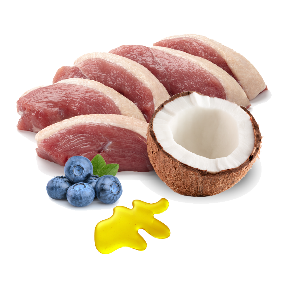 Menú Ronroneos sin Fin BIO (Pato) - Imagen 2