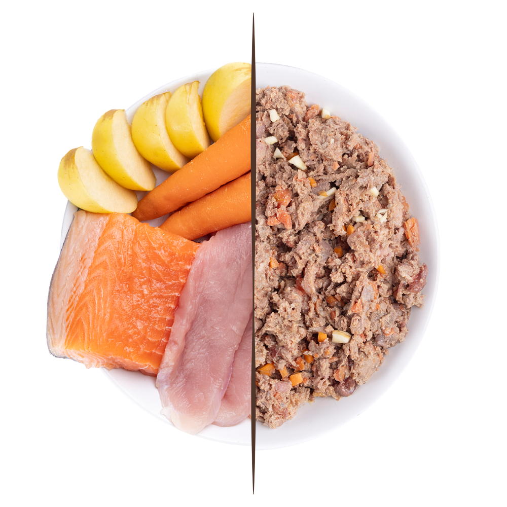 Menú Pavo y Salmón du Chef - Imagen 3