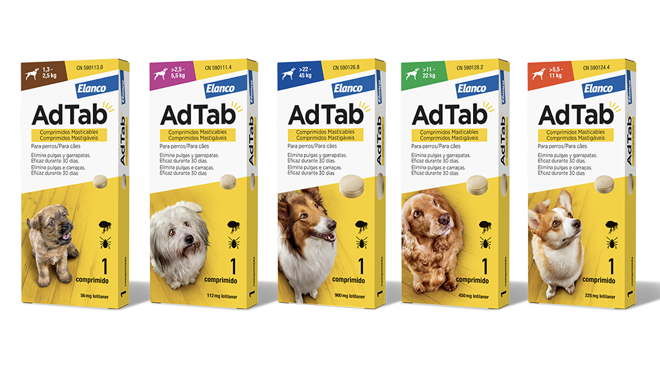 AdTab para perros de más de 2,5 a 5,5 kg – 1 comprimido